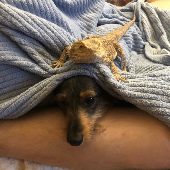 Meet your Posher, Megan 🙋🏼♀️ - Picture 2 of 3